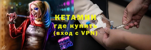 шишки Арсеньев