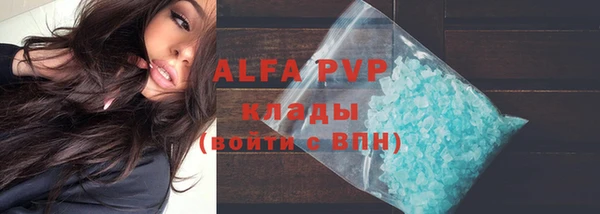 шишки Арсеньев