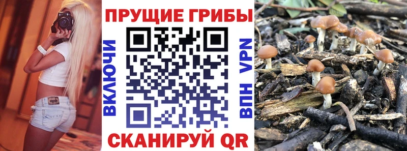 Псилоцибиновые грибы Magic Shrooms  где можно купить наркотик  Мантурово 